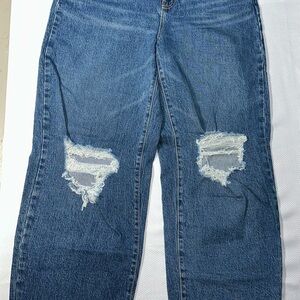 Wild Fable Distressed Blue Women's Jeans